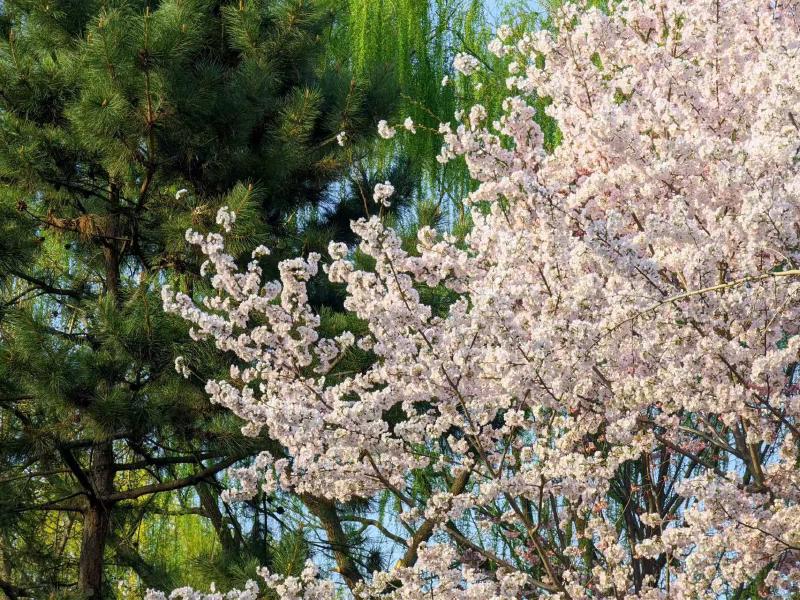 Featured image of post 一些春天