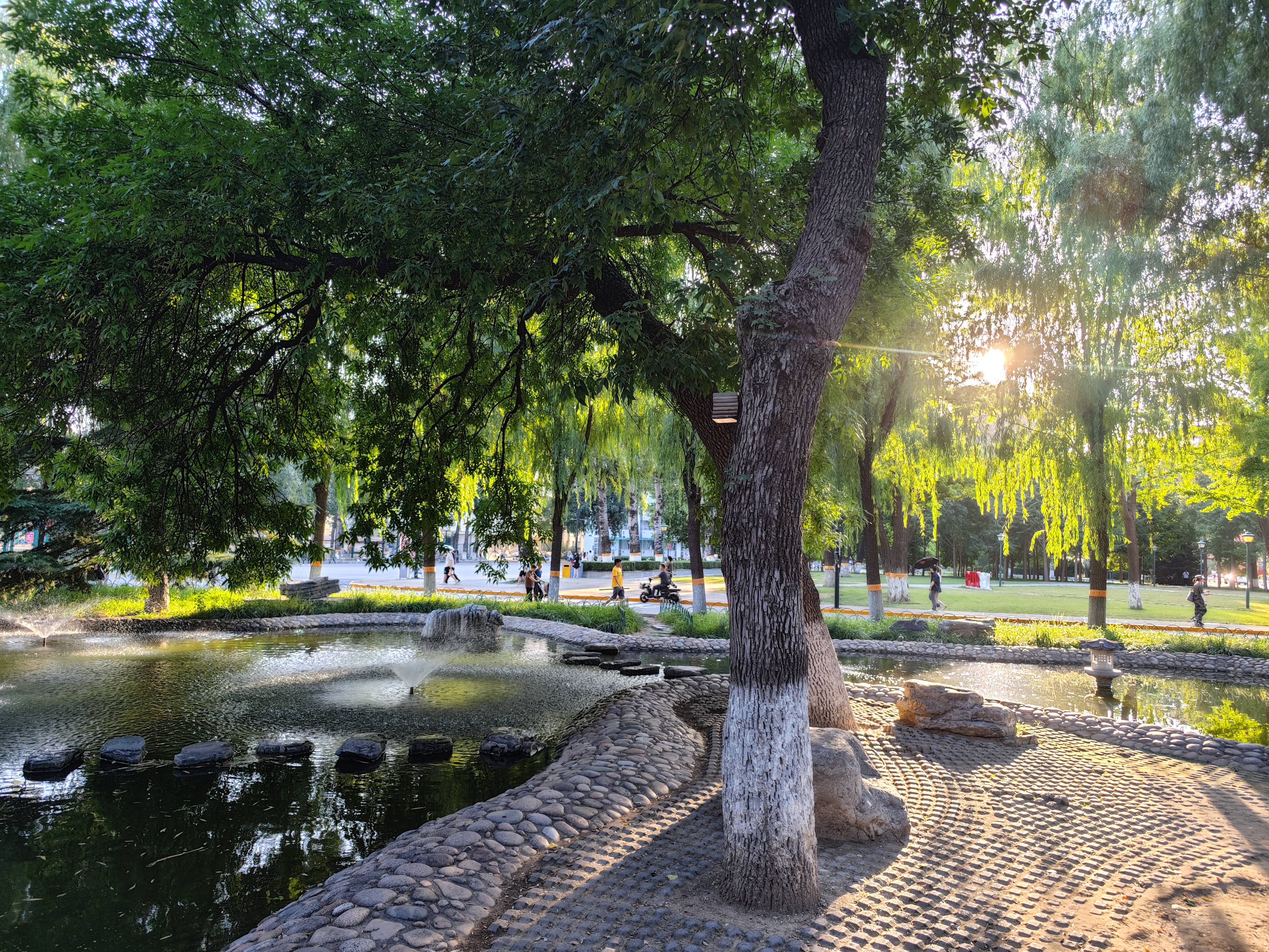 2024.9.2 一勺池 阳光正好