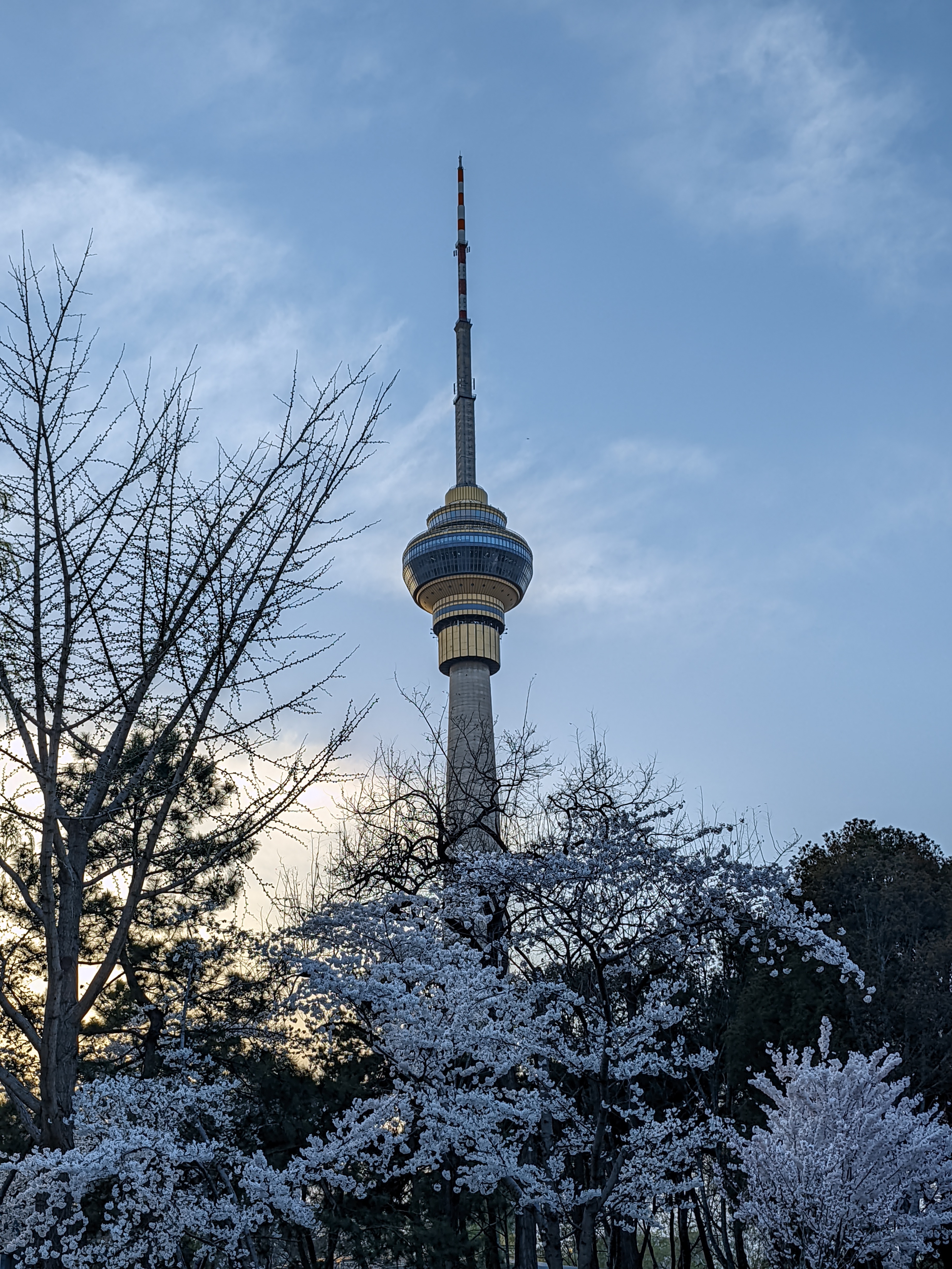 2025.3.24 玉渊潭公园及中央电视台 春意正浓-2