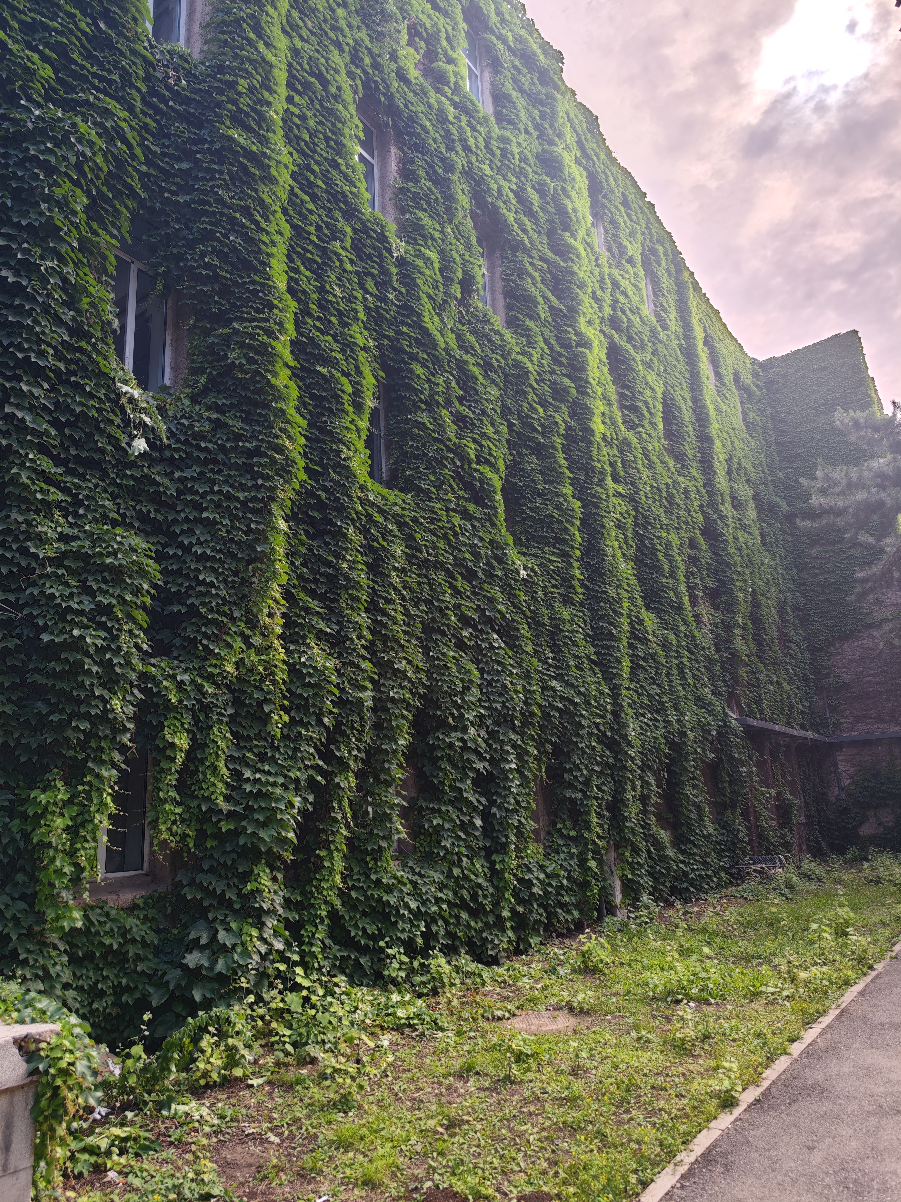 2025.5.23 鹿大校园 求是园的“言叶之庭”