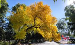 Featured image of post 我在鹿大的第一年