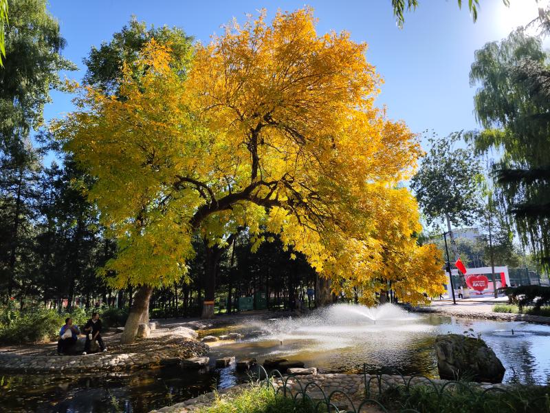 Featured image of post 我在鹿大的第一年