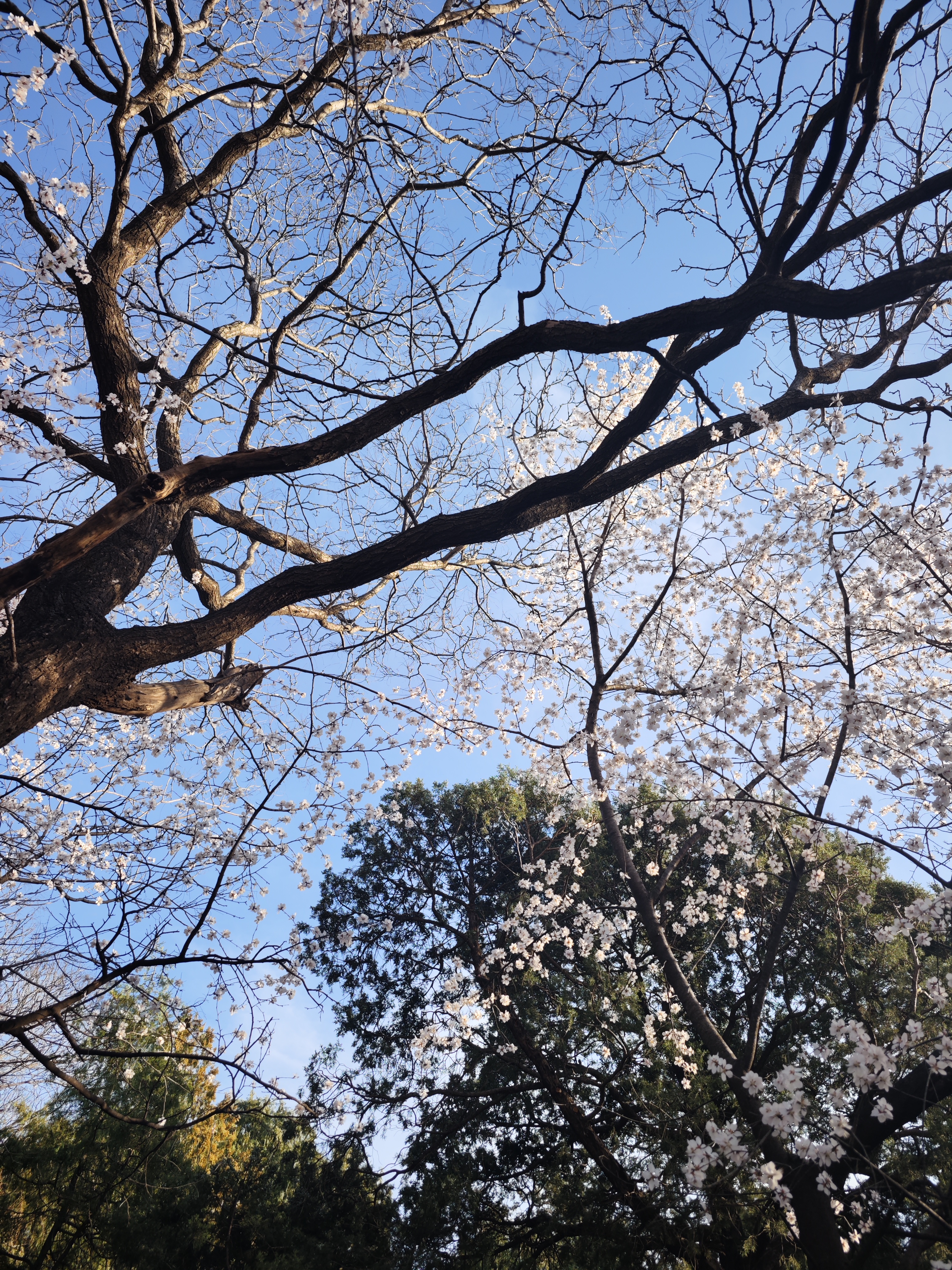 2026.3.22 颐和园